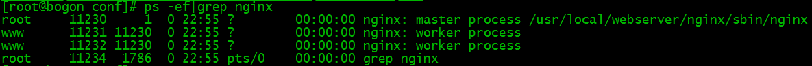 nginx6.png